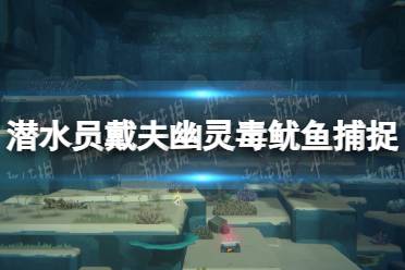《潜水员戴夫》攻略——幽灵毒鱿鱼怎么捕捉