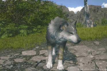 （新闻）《最终幻想16》狼犬Torgal实机演示 动画效果很丰富