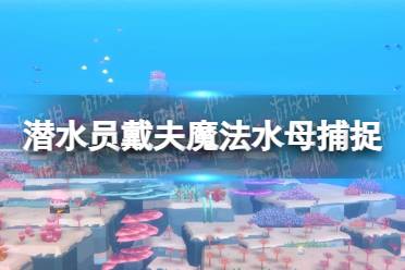 《潜水员戴夫》攻略——魔法水母怎么抓