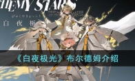 《白夜极光》攻略——布尔德姆解析