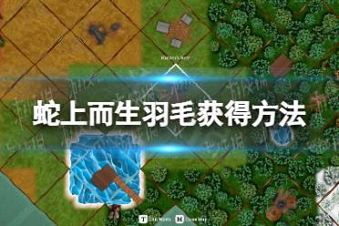 《蛇上而生》攻略——羽毛怎么获得