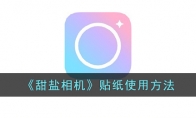 《甜盐相机》攻略——贴纸使用方法